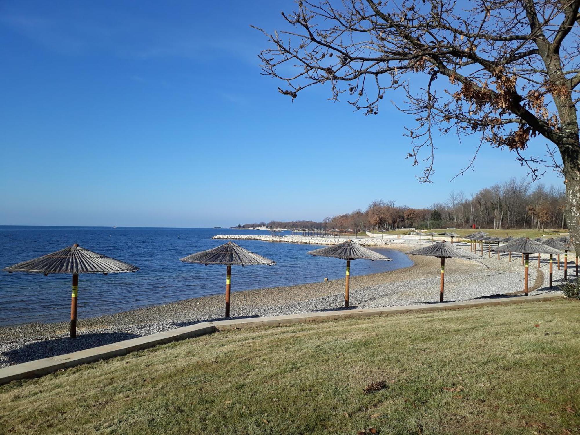 Apartman Budinjas